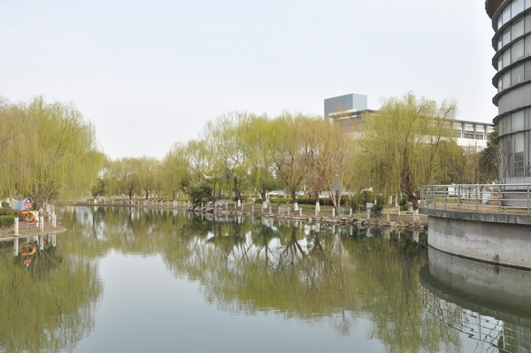 中職高職學(xué)校